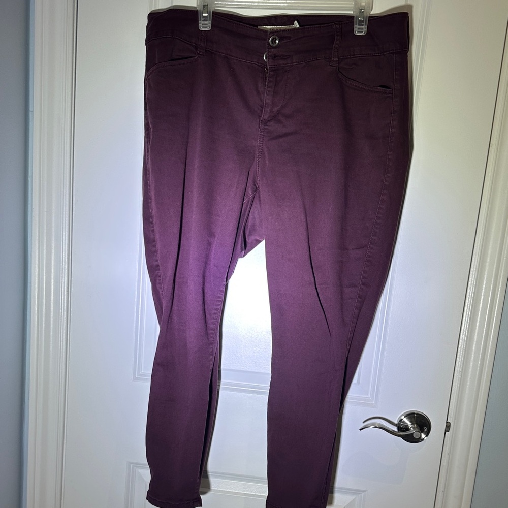 torrid Plum Skinny Jeans